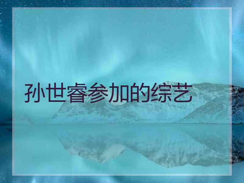 孙世睿参加的综艺