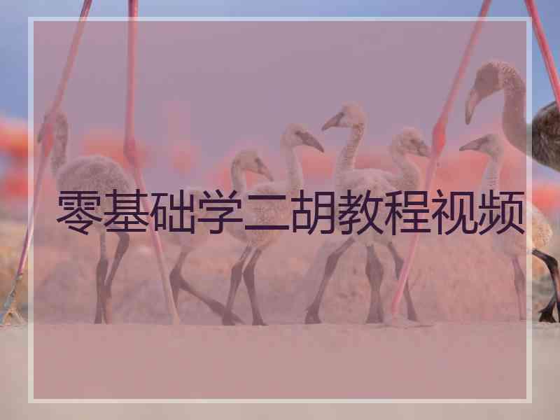 零基础学二胡教程视频