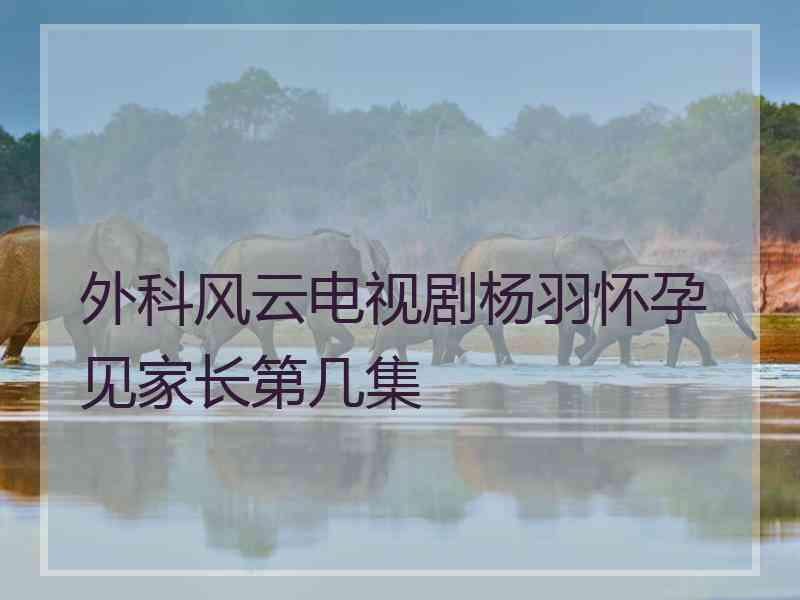 外科风云电视剧杨羽怀孕见家长第几集