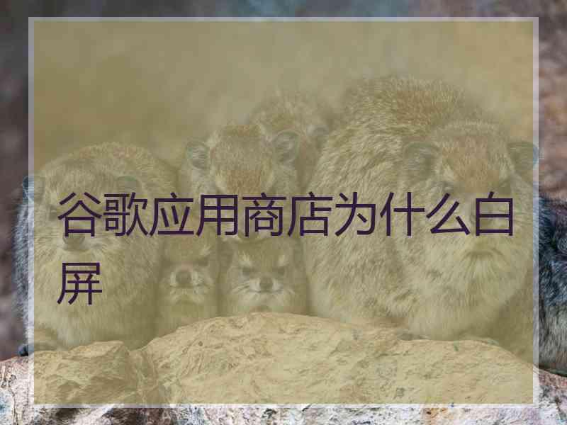 谷歌应用商店为什么白屏