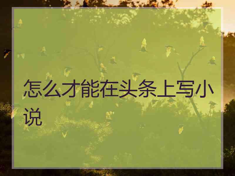 怎么才能在头条上写小说