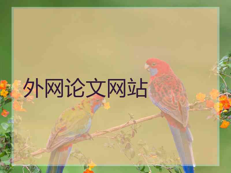 外网论文网站