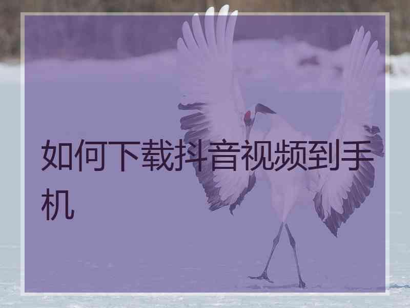 如何下载抖音视频到手机
