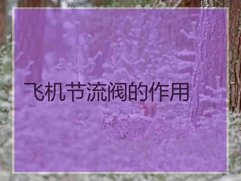 飞机节流阀的作用