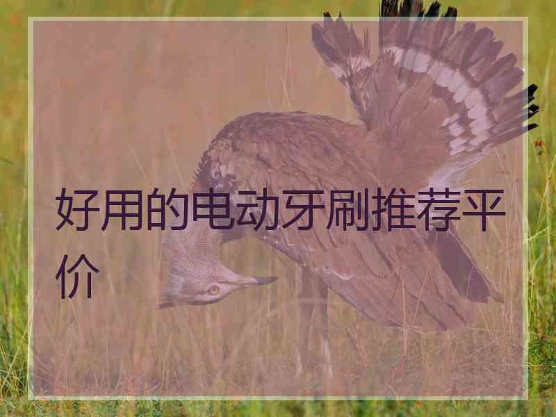 好用的电动牙刷推荐平价