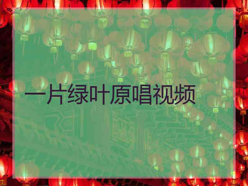 一片绿叶原唱视频