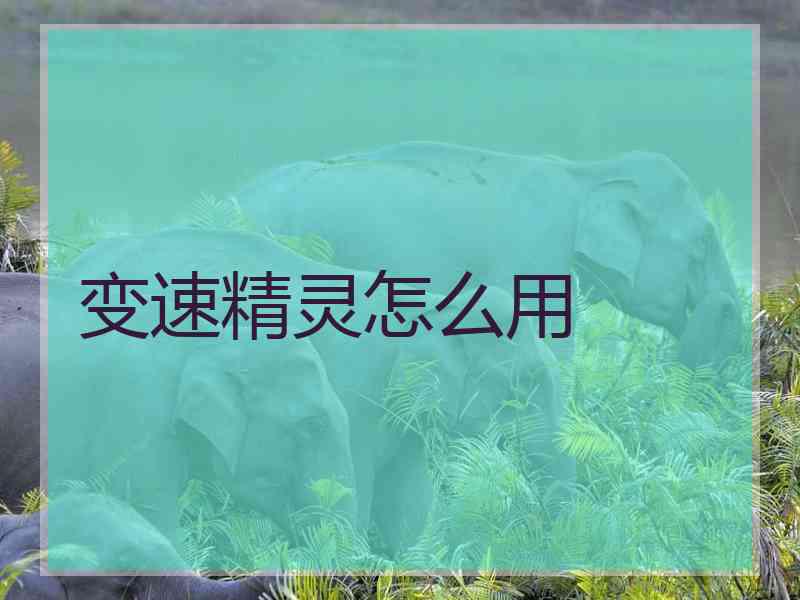 变速精灵怎么用