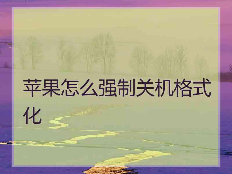 苹果怎么强制关机格式化