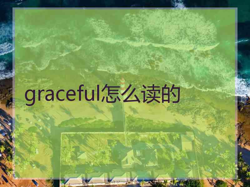 graceful怎么读的