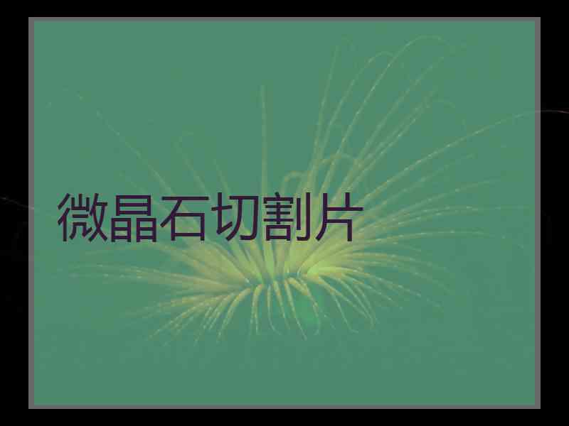 微晶石切割片