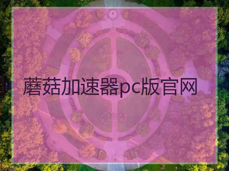 蘑菇加速器pc版官网