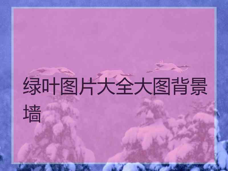 绿叶图片大全大图背景墙