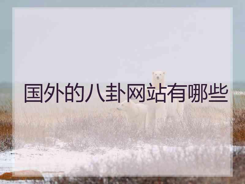 国外的八卦网站有哪些