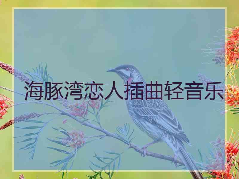 海豚湾恋人插曲轻音乐