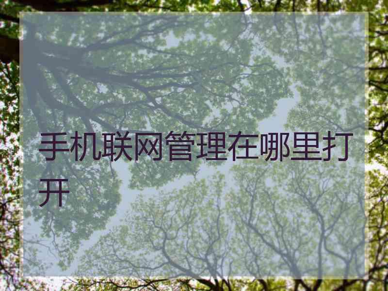 手机联网管理在哪里打开