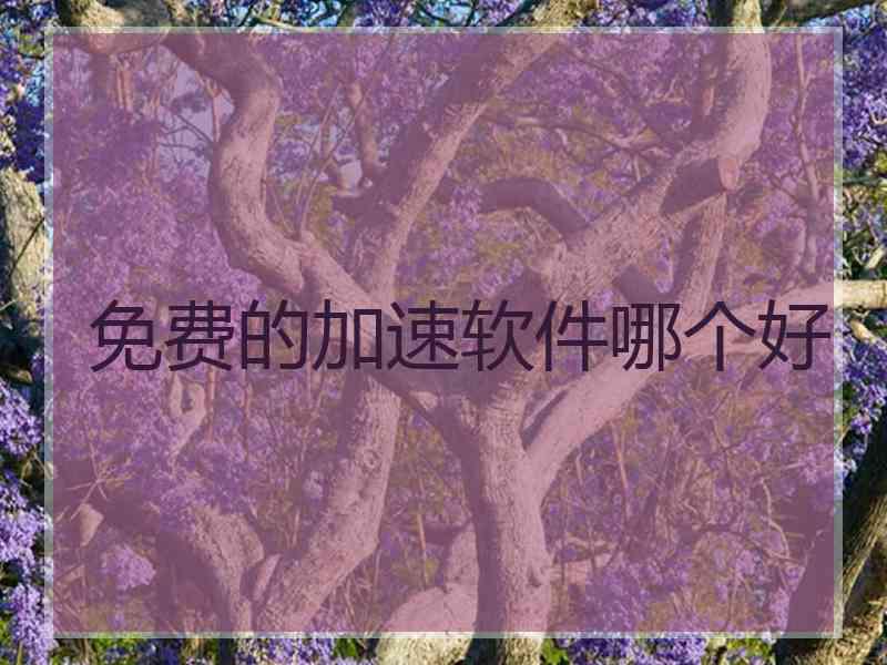 免费的加速软件哪个好