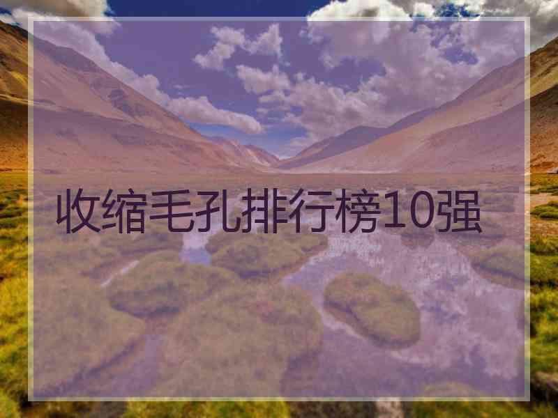 收缩毛孔排行榜10强
