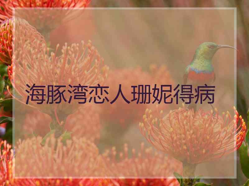 海豚湾恋人珊妮得病