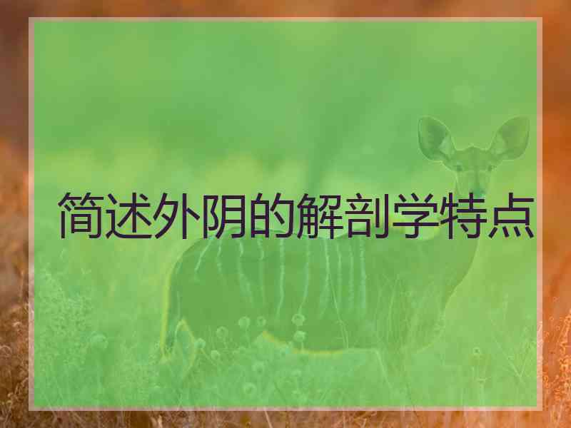 简述外阴的解剖学特点