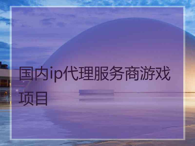 国内ip代理服务商游戏项目
