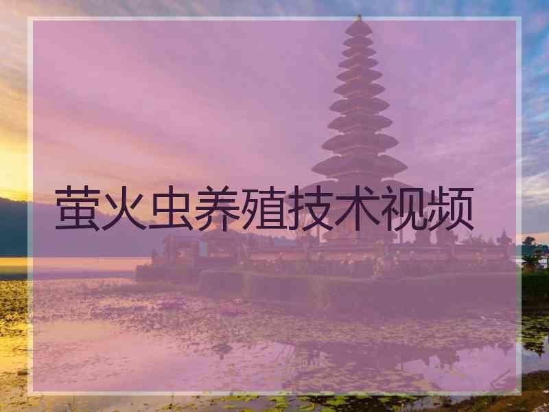 萤火虫养殖技术视频