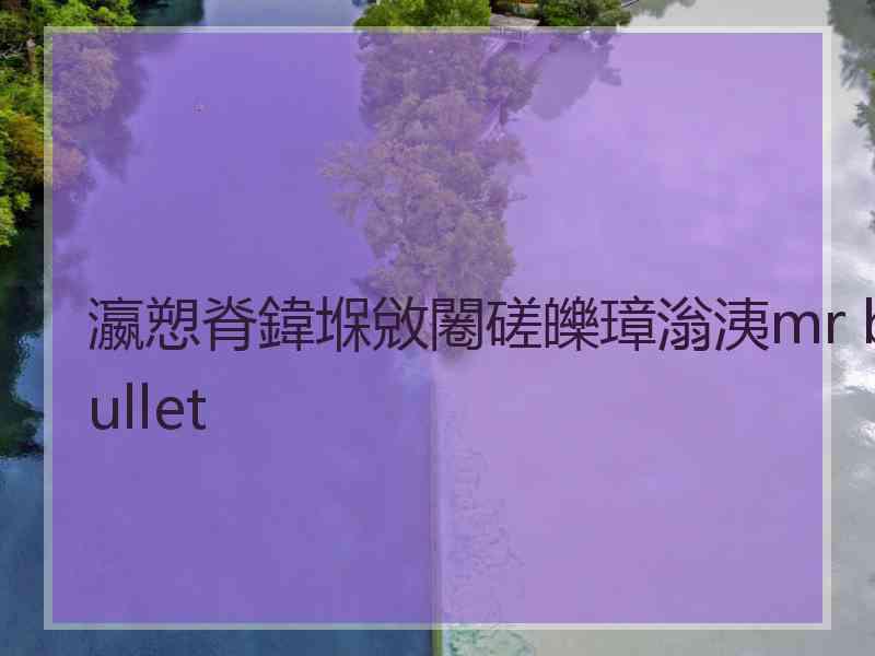 瀛愬脊鍏堢敓闂磋皪璋滃洟mr bullet