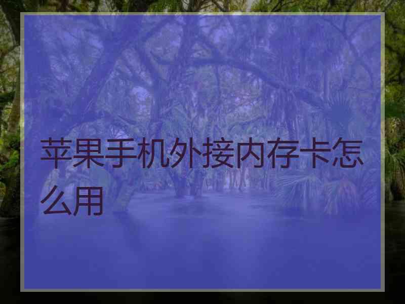 苹果手机外接内存卡怎么用