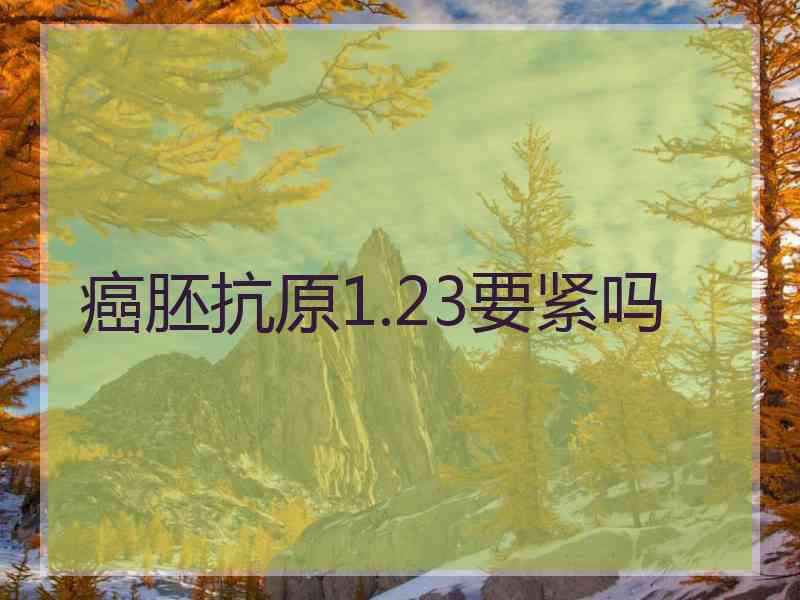癌胚抗原1.23要紧吗