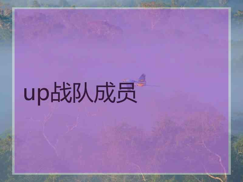 up战队成员