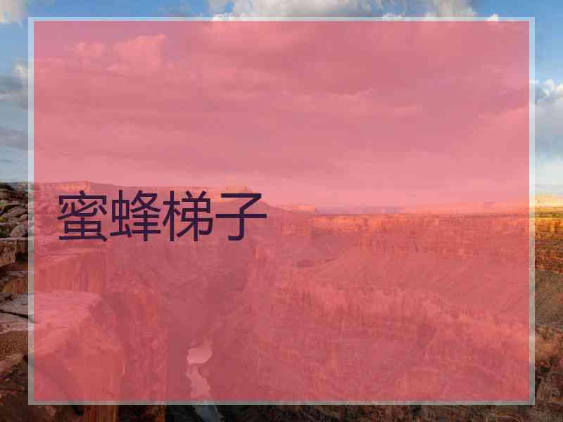 蜜蜂梯子