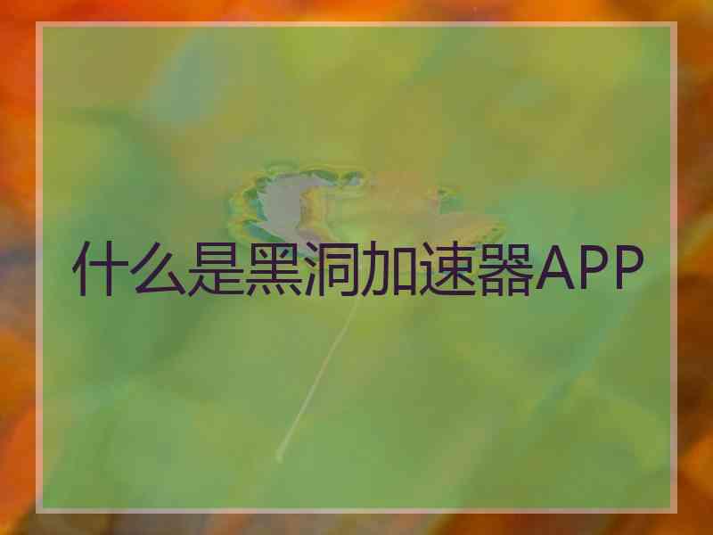 什么是黑洞加速器APP