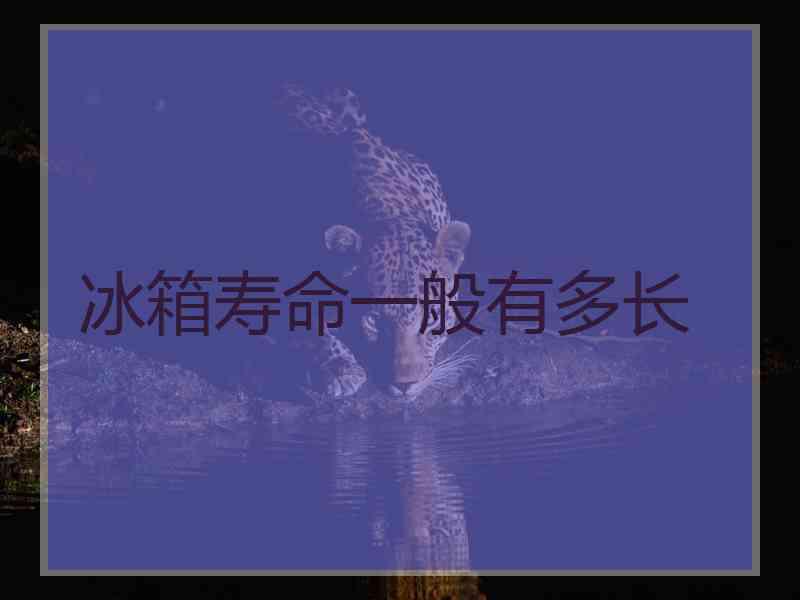 冰箱寿命一般有多长