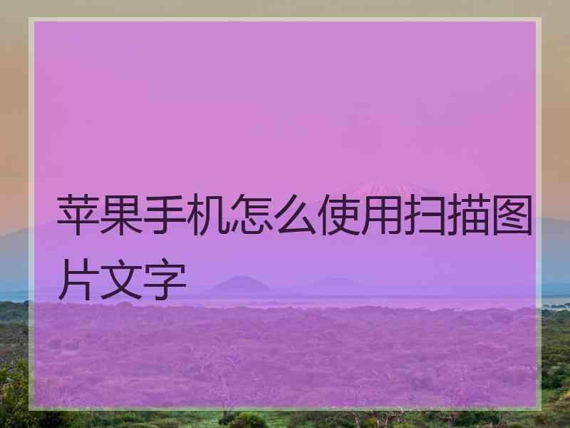 苹果手机怎么使用扫描图片文字