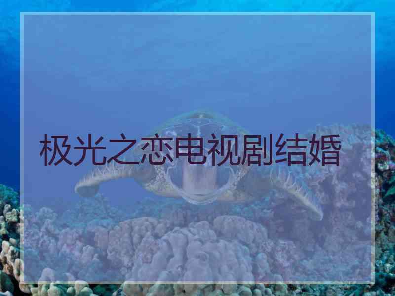极光之恋电视剧结婚