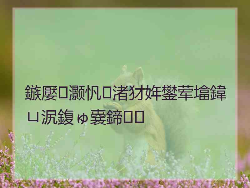 鏃嬮灏忛渚犲姩鐢荤墖鍏ㄩ泦鍑ゅ嚢鍗
