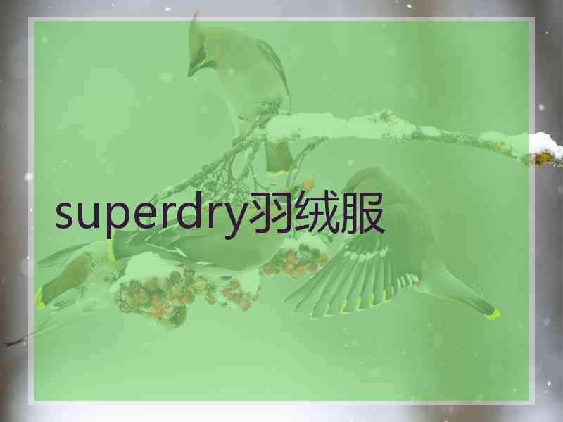 superdry羽绒服