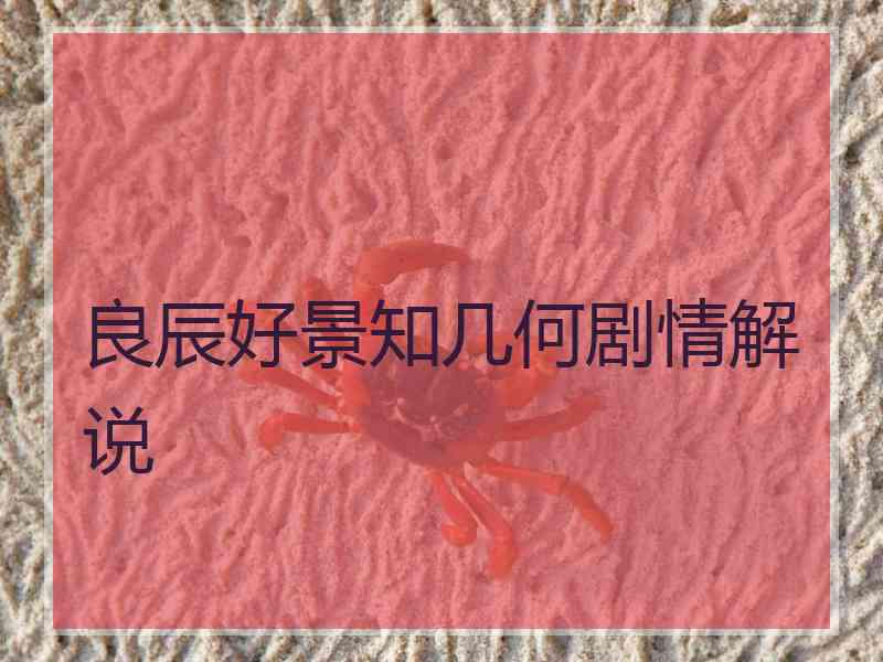 良辰好景知几何剧情解说