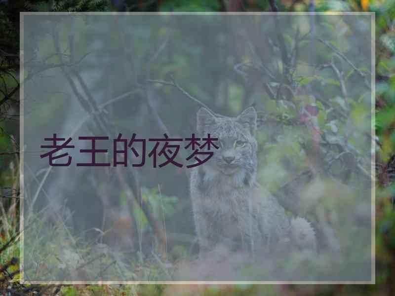 老王的夜梦
