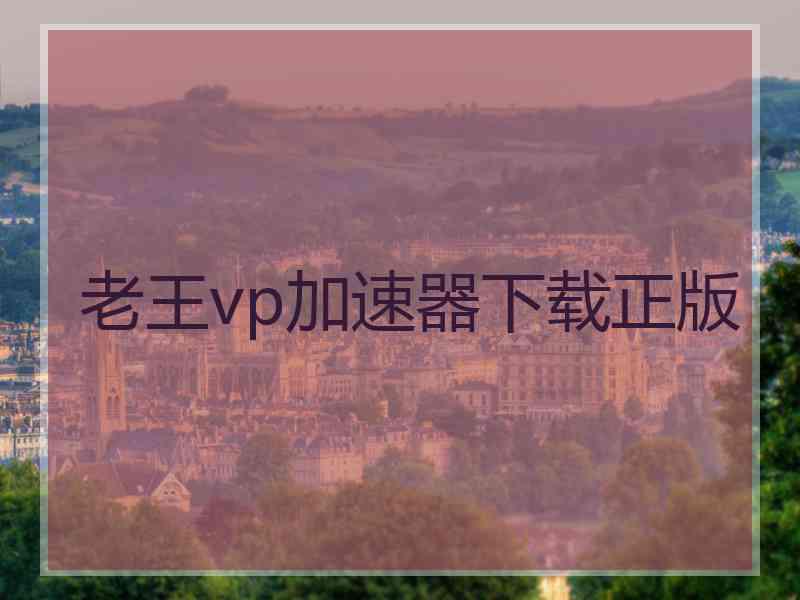 老王vp加速器下载正版