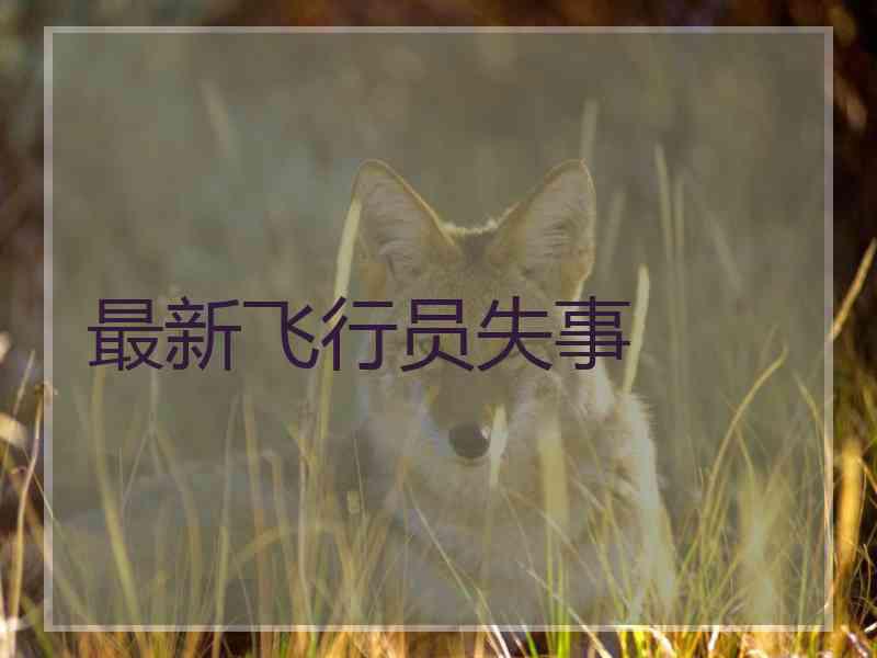 最新飞行员失事