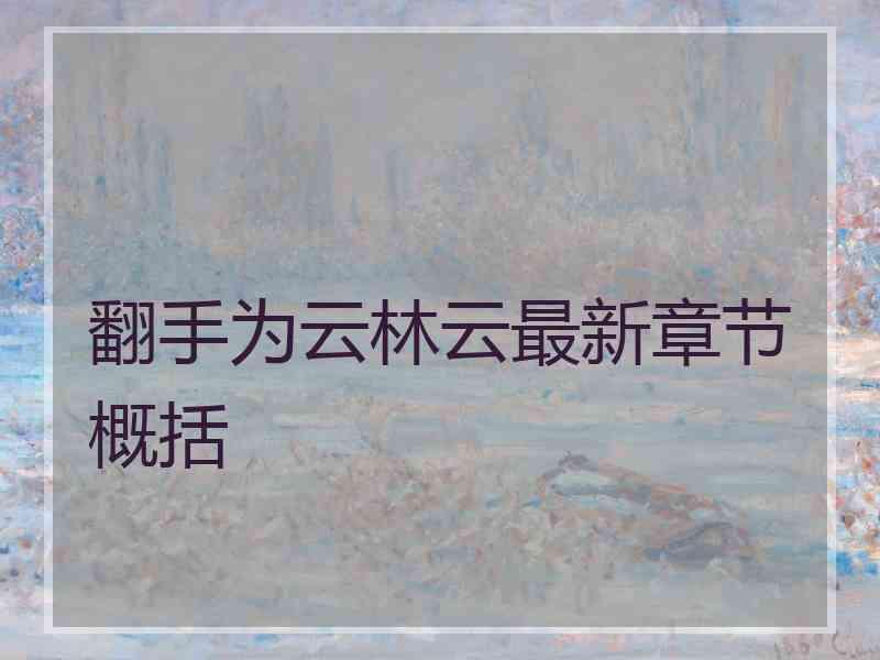 翻手为云林云最新章节概括