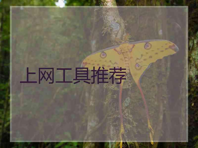 上网工具推荐