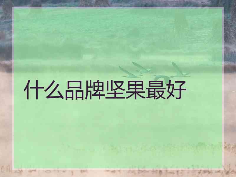 什么品牌坚果最好