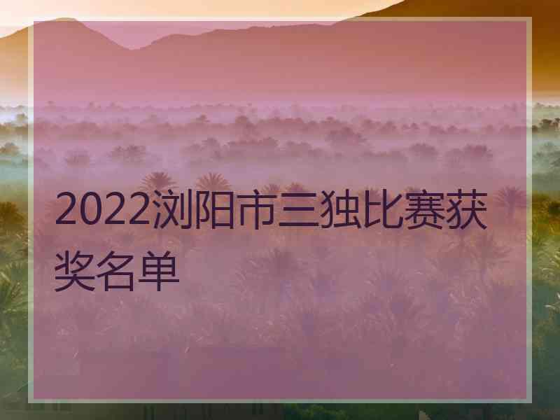 2022浏阳市三独比赛获奖名单