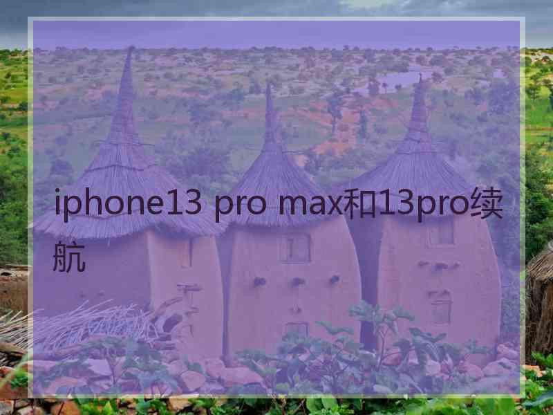 iphone13 pro max和13pro续航