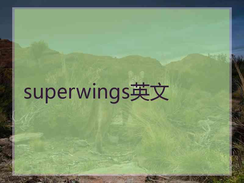 superwings英文
