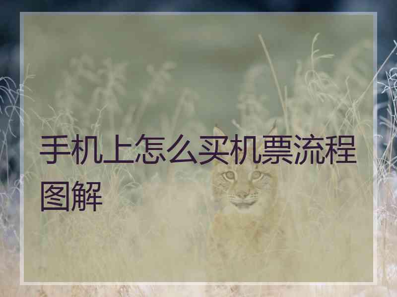 手机上怎么买机票流程图解