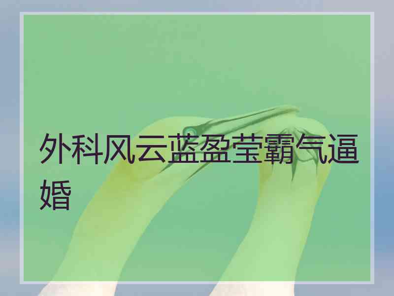 外科风云蓝盈莹霸气逼婚