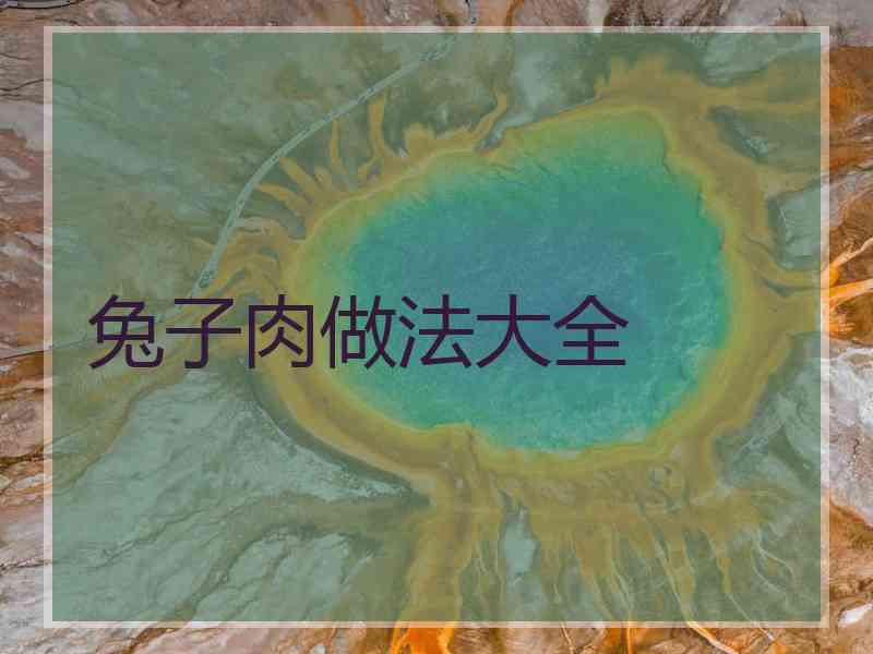 兔子肉做法大全