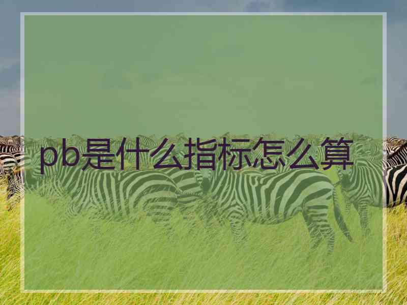 pb是什么指标怎么算